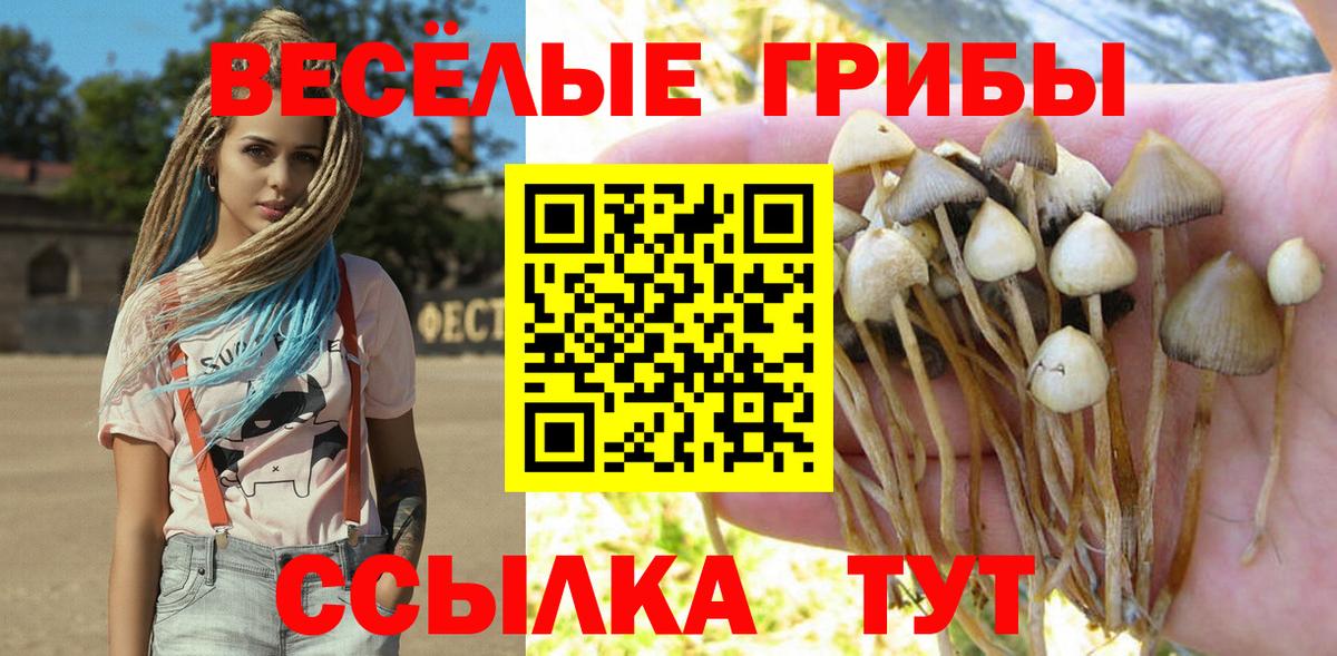 Саянск  Галлюциногенные грибы GOLDEN TEACHER  Вход с VPN 
